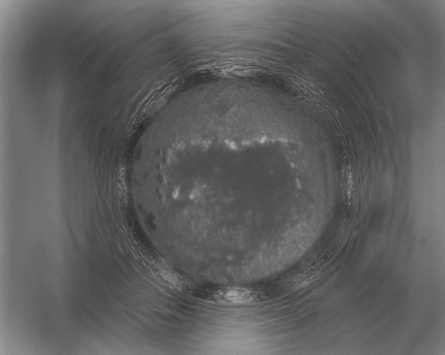 X0000056370506200509161858