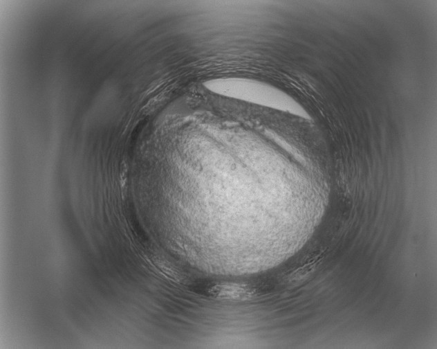 X0000056370507200509161858