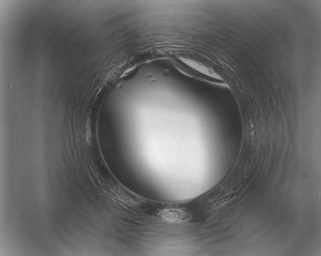 X0000056370508200509161858