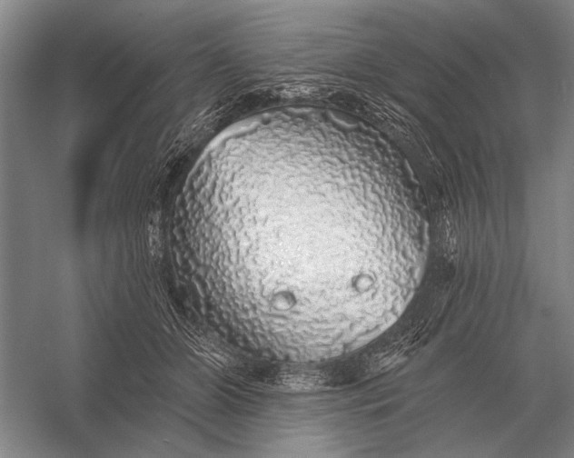 X0000056370510200509161858