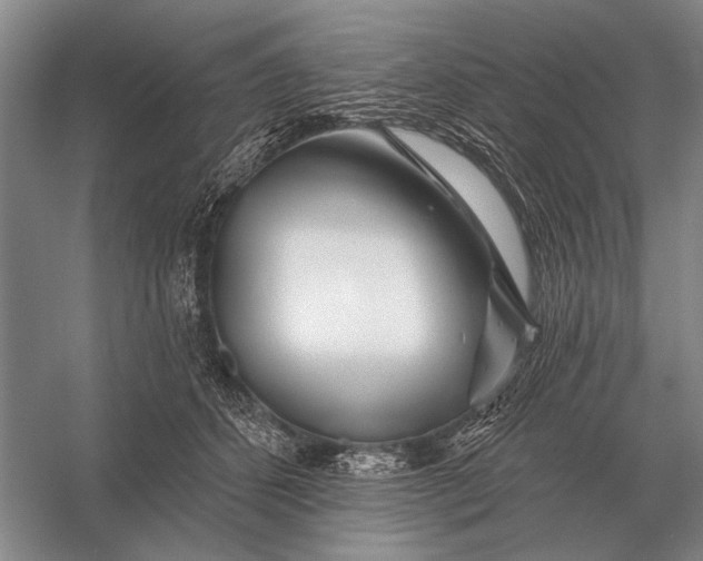 X0000056370512200509161858