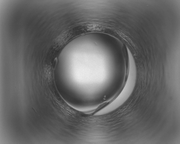 X0000056370513200509161858