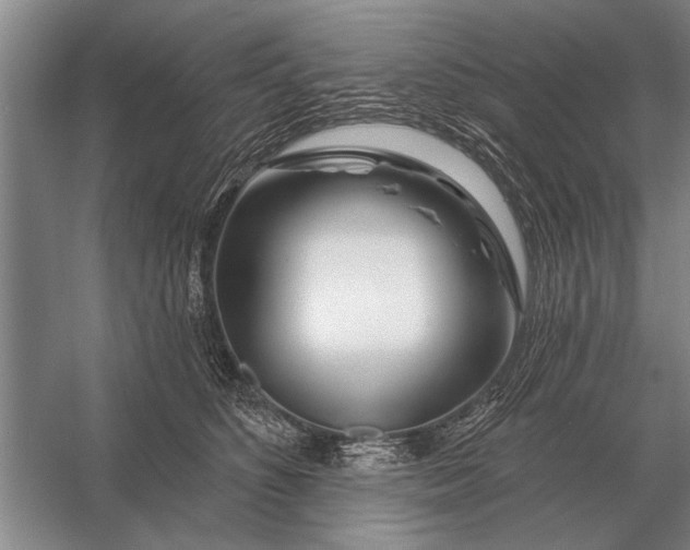 X0000056370516200509161858