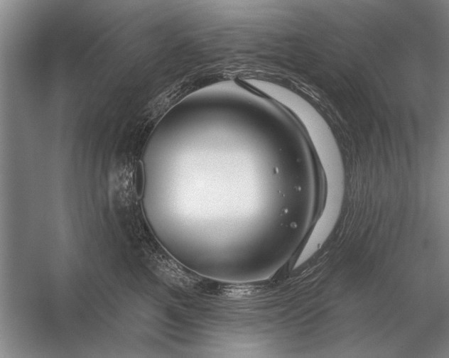 X0000056370521200509161858