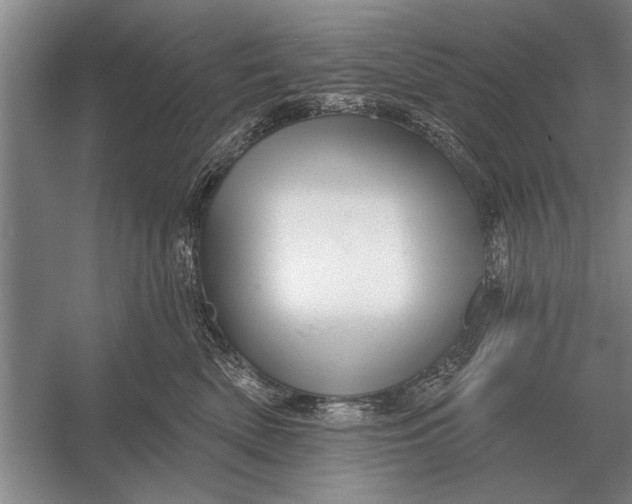 X0000056370522200509161858