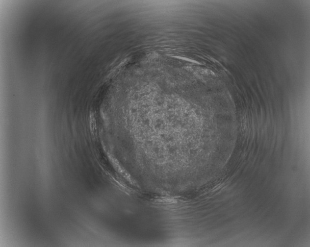 X0000056370523200509161858