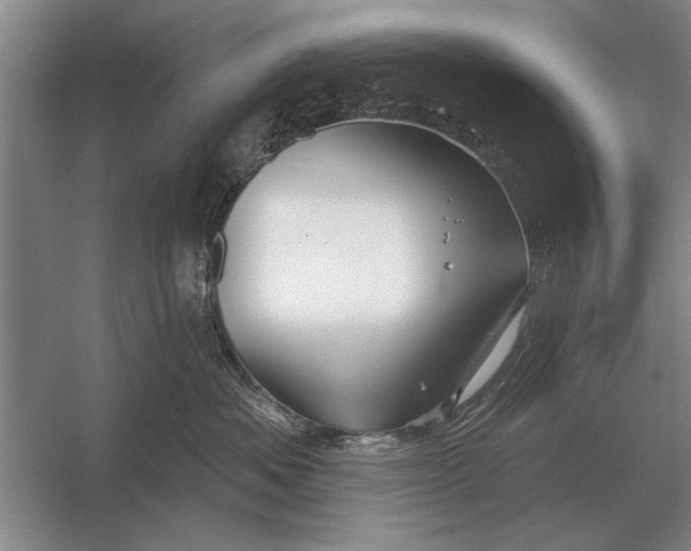 X0000056370525200509161857