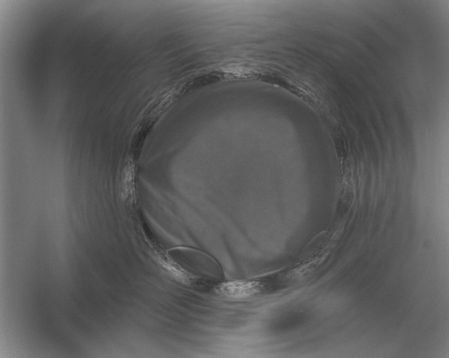 X0000056370526200509161857