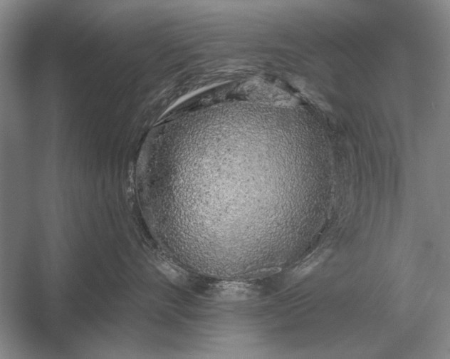 X0000056370528200509161857