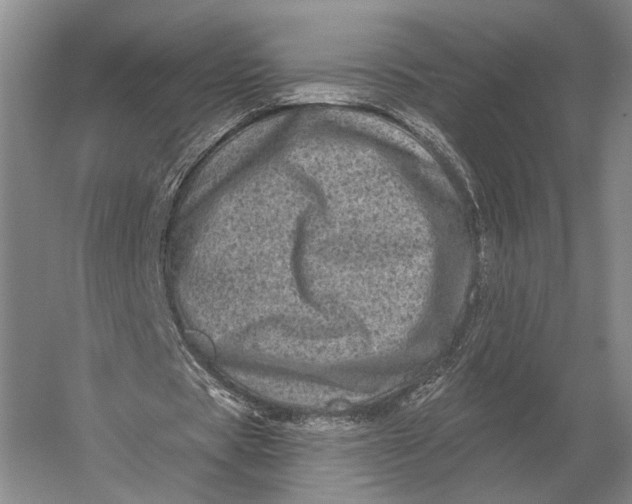 X0000056370529200509161857