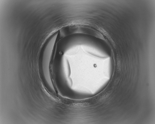 X0000056370530200509161857