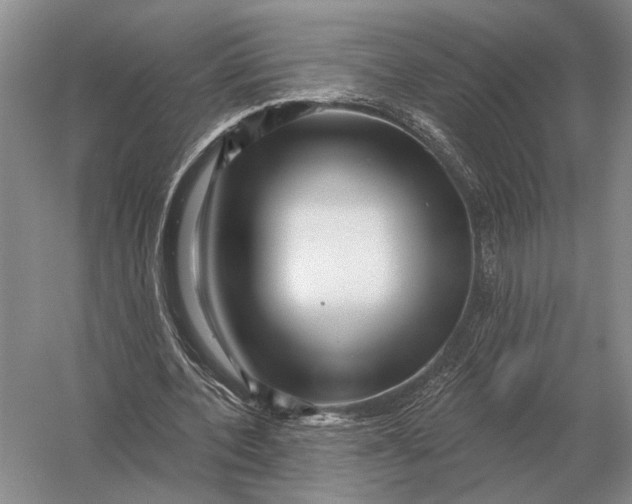 X0000056370532200509161857