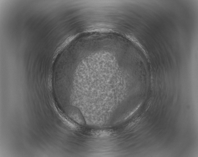 X0000056370533200509161857