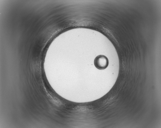 X0000056370534200509161857