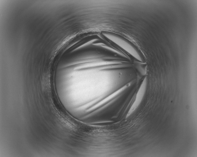 X0000056370535200509161857