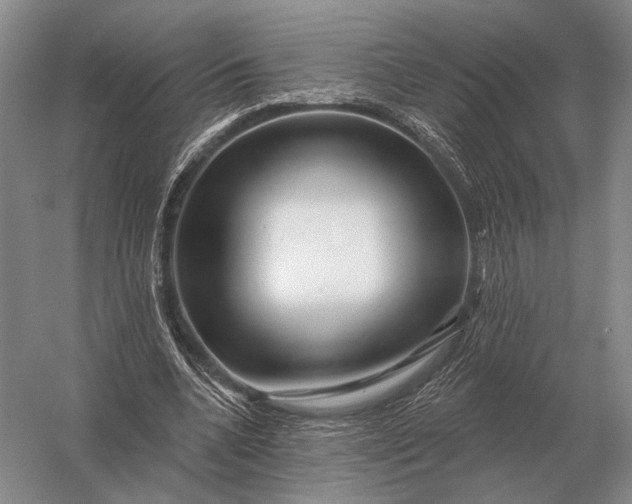 X0000056370536200509161857