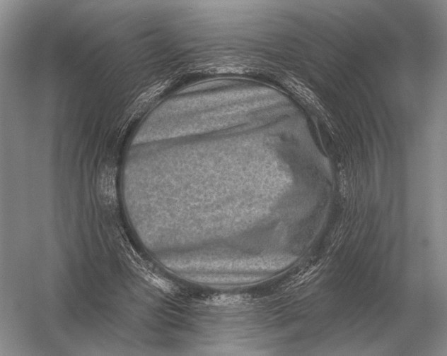 X0000056370537200509161857