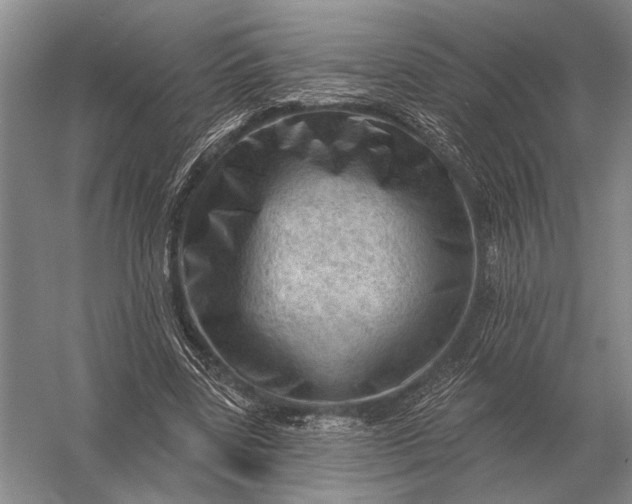 X0000056370539200509161857