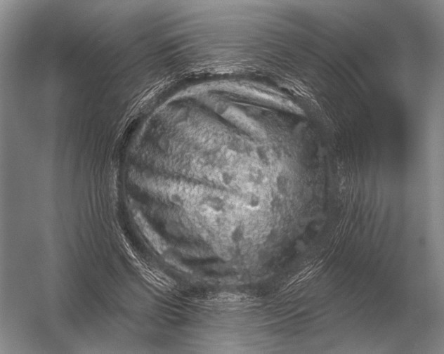 X0000056370542200509161857