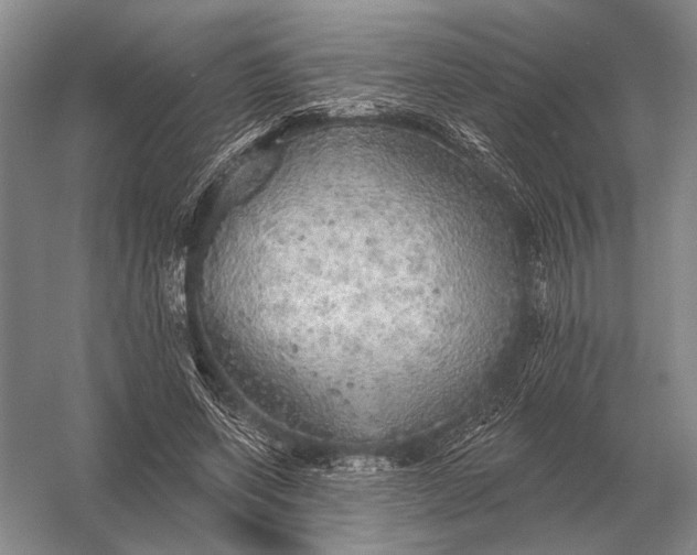 X0000056370543200509161857