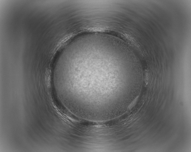 X0000056370544200509161857