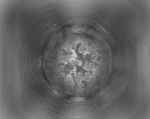 X0000056370553200509161857