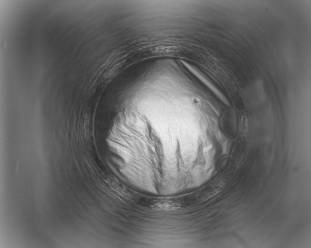 X0000056370557200509161857