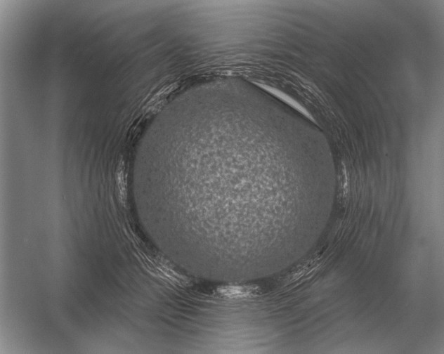 X0000056370558200509161857