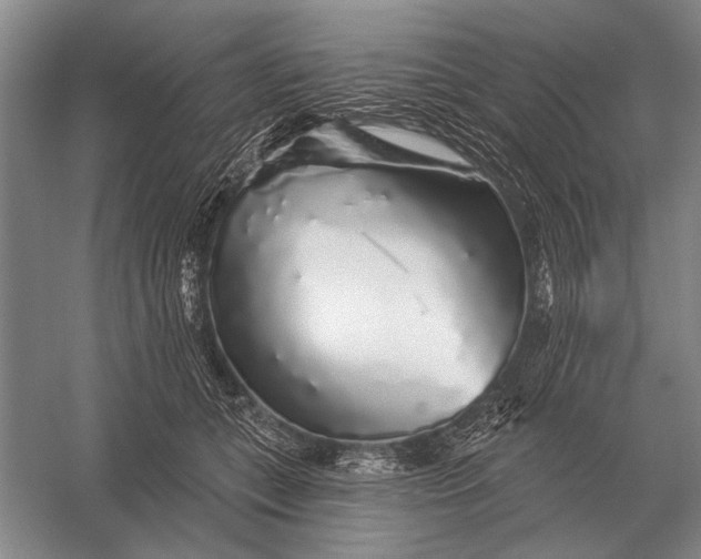 X0000056370559200509161857