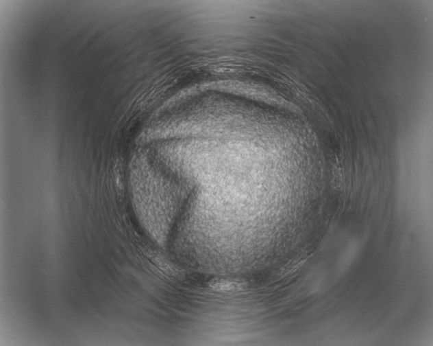 X0000056370561200509161857