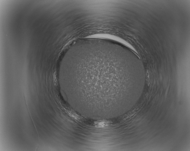 X0000056370564200509161857