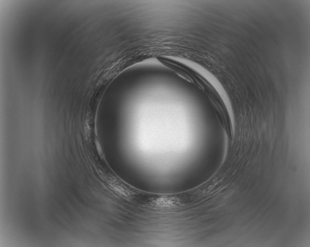 X0000056370566200509161857