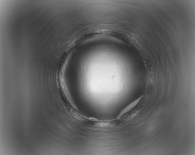 X0000056370575200509161857