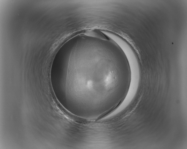 X0000056370577200509161857