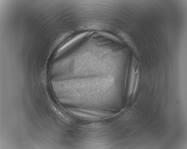 X0000056370578200509161857