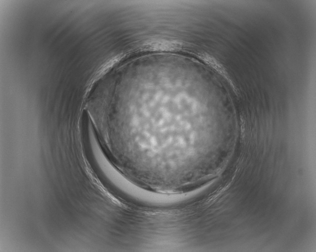 X0000056370581200509161857