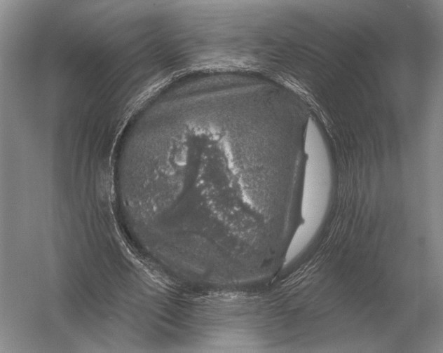 X0000056370582200509161857