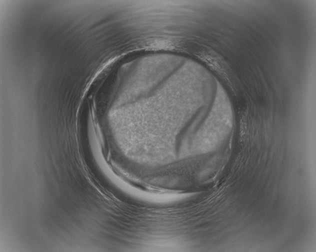 X0000056370584200509161856