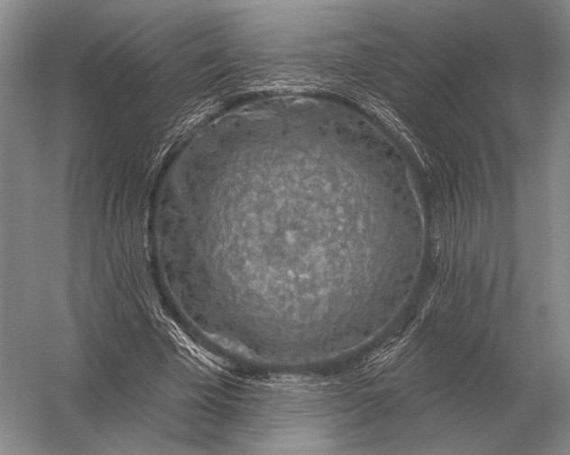 X0000056370585200509161856