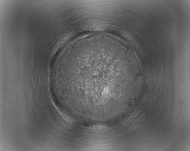 X0000056370586200509161856