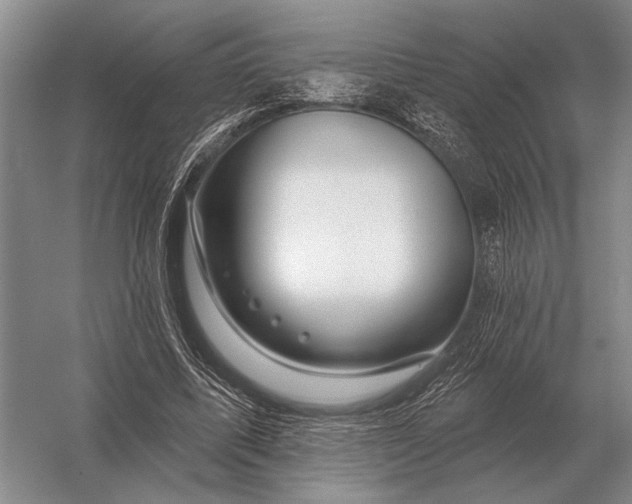 X0000056370587200509161856