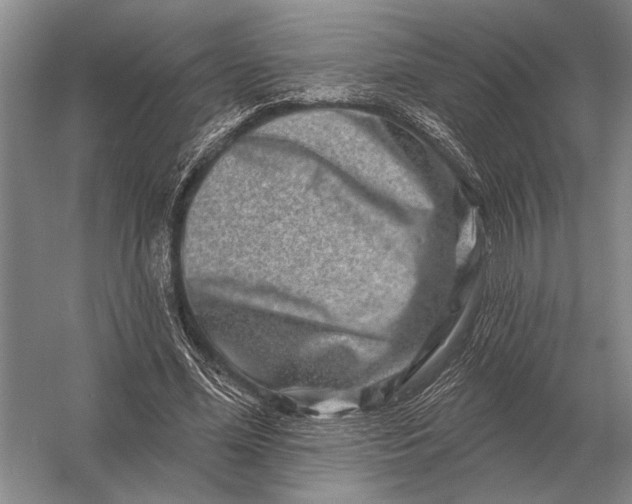 X0000056370588200509161856