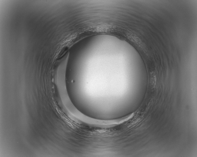 X0000056370589200509161856