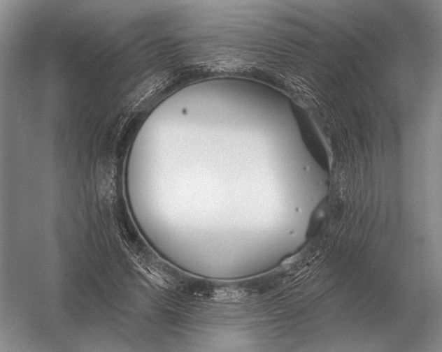 X0000056370591200509161856