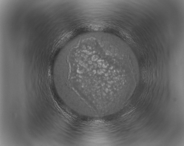 X0000056370594200509161856