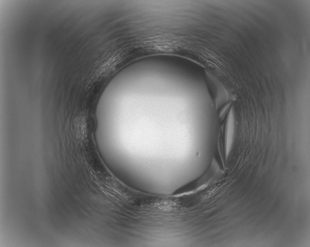 X0000056370595200509161856