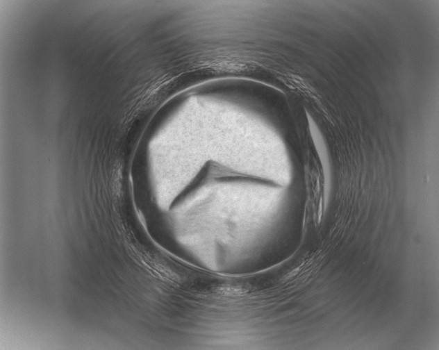 X0000056370596200509161856