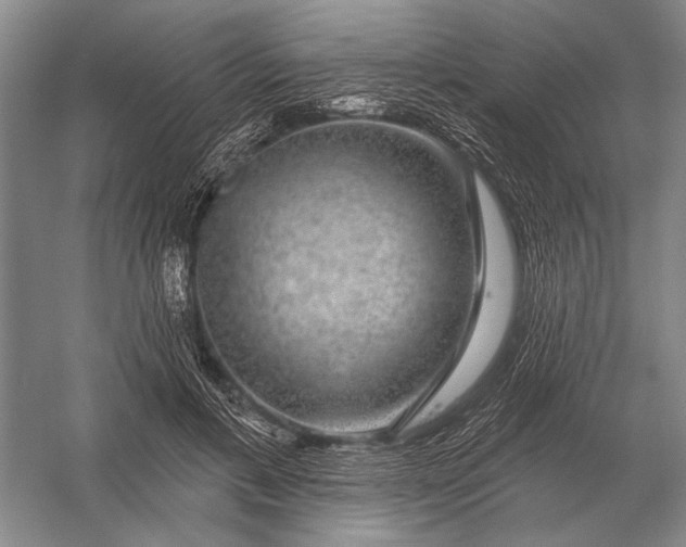 X0000056370597200509161856