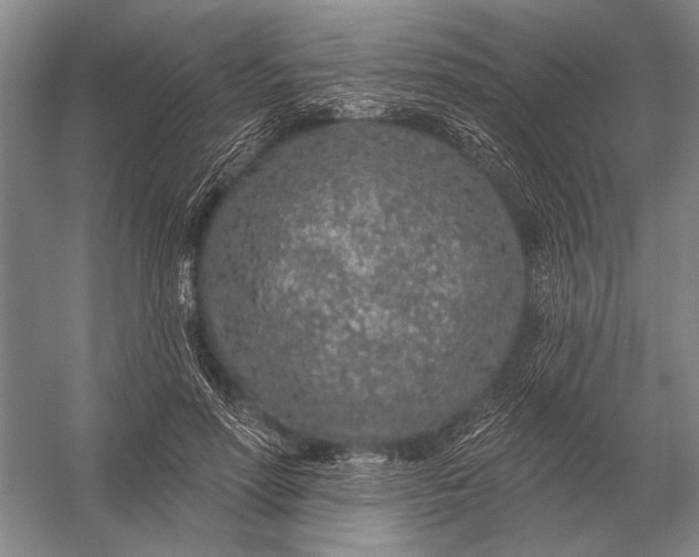 X0000056370598200509161856