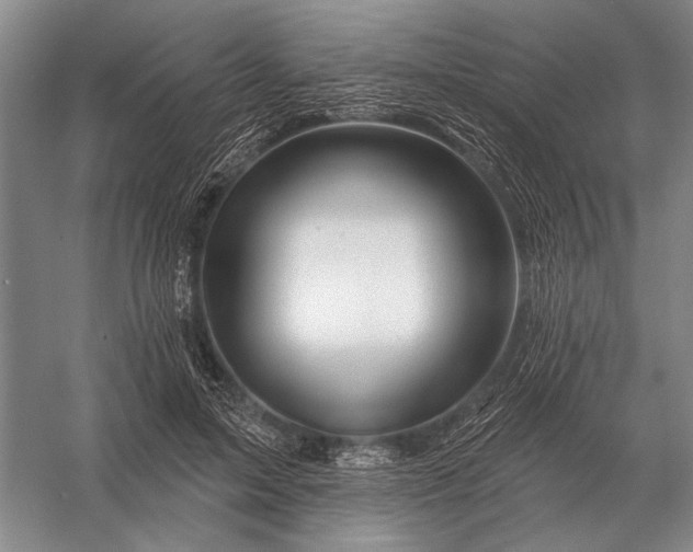 X0000056370599200509161856